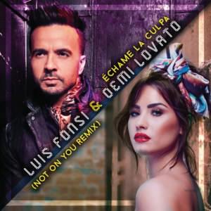 Échame la Culpa (Not on You Remix) - Luis Fonsi & Demi Lovato