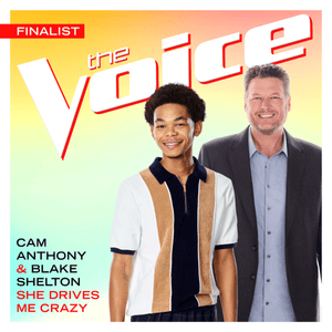 She Drives Me Crazy (The Voice Performance) - Cam Anthony & Blake Shelton