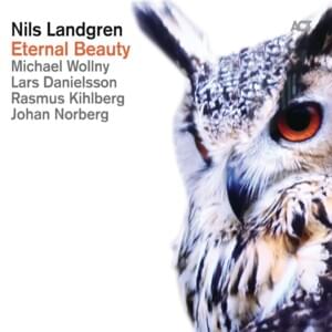 Isn’t It a Pity - Nils Landgren