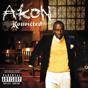 Never Took the Time - Akon