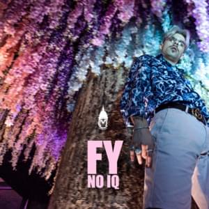 No IQ - FY