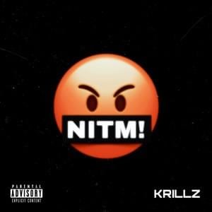 Not In The Mood - Krillz