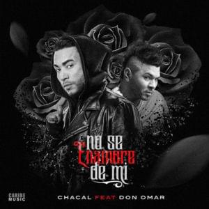 No Se Enamore de Mí (Remix) - El Chacal (Ft. Don Omar)