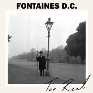 Too Real - Fontaines D.C.