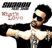 What’s Love - Shaggy