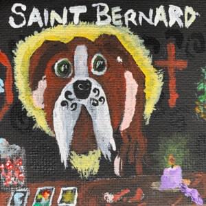 Saint Bernard 2 - Lincoln