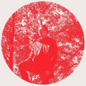 Midnight Directives (Max Tundra remix) - Owen Pallett