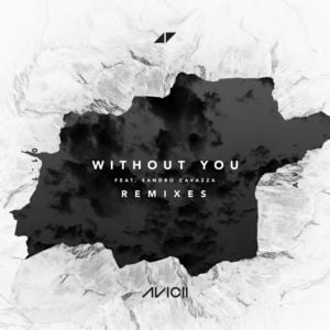 Without You (Tokima Tokio Remix) - Avicii (Ft. Sandro Cavazza)