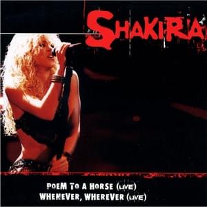 Whenever, Wherever (Live) - Shakira