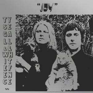 Hey Joel, Where You Going With That? - Ty Segall & White Fence