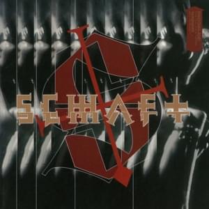 Visual Cortex - Schaft