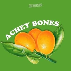 Achey Bones - The Happy Fits