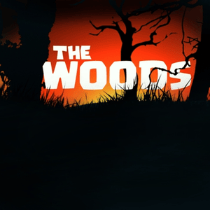 The Woods - Rockit Music