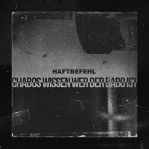 Chabos wissen wer der Babo ist (Boys Noize Remix) - Haftbefehl