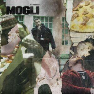 Mogli - KC Rebell