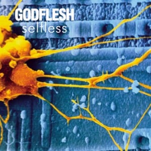 Anything Is Mine - Godflesh