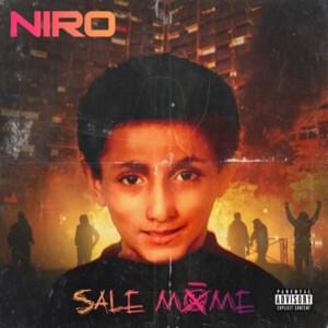 Chiffres de ventes - Niro