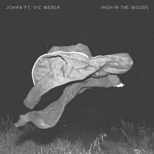 High In The Woods (Remix) - ​​johan lenox (Ft. VIC MENSA)