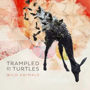 Hollow - Trampled by Turtles