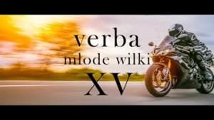 Młode Wilki XV - Verba