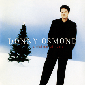 It’s the Most Wonderful Time of the Year - Donny Osmond