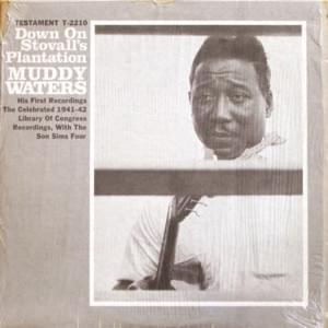 You Got To Take Sick And Die Some Of These Days - Muddy Waters