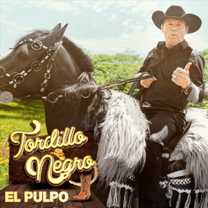 La Muerte del Tordillo Negro - Tordillo Negro