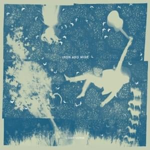 Anyone’s Game - Iron & Wine