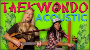 Taekwondo (Acoustic) - Walk off the Earth