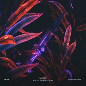 Babylon (Skrillex & Ronny J Remix) - Ekali (Ft. Denzel Curry)