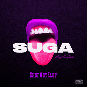 Suga Intro (Chopnotslop Remix) - Megan Thee Stallion