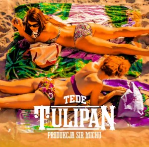 Tulipan - Tede