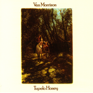 Wild Night (Alternative take) - Van Morrison