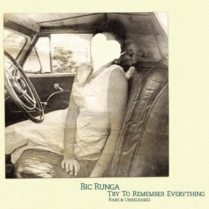 Something’s Gotten Hold Of My Heart - Bic Runga