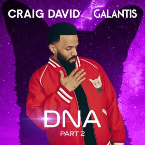 DNA, Pt. 2 - Craig David & Galantis