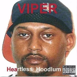 Clip In - Viper