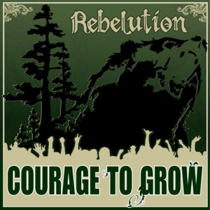 Heart Like A Lion - Rebelution