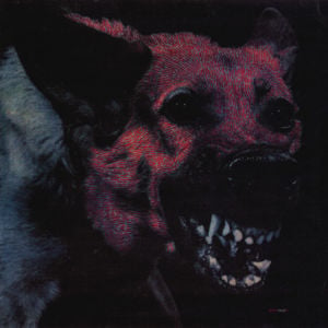 Son of Dis - Protomartyr