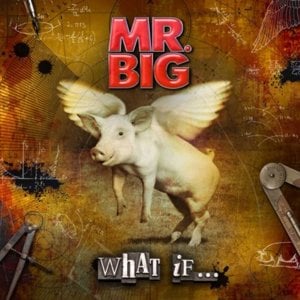 Stranger In My Life - Mr. Big