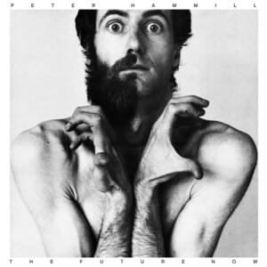 The Cut - Peter Hammill