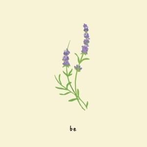 ​be - ​gnash