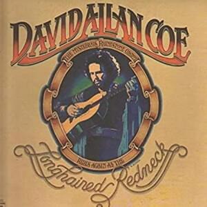 Family Reunion - David Allan Coe