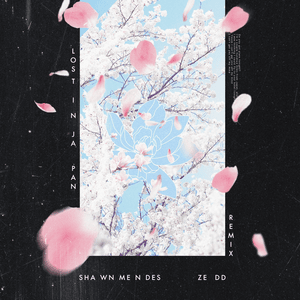 Lost In Japan (Remix) - Shawn Mendes & Zedd