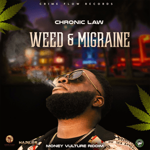 Weed & Migraine - Chronic Law & Crime Flow