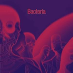 Bacteria - VyOk