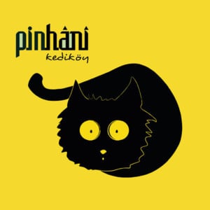 Nehirler Durmaz - Pinhani