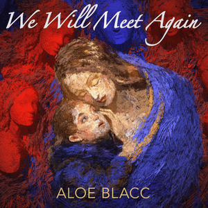 We Will Meet Again - Aloe Blacc