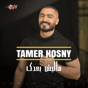 Malesh Baadak - ماليش بعدك - Tamer Hosny - تامر حسني