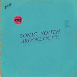 Flower (Live in Brooklyn, Ny) - Sonic Youth