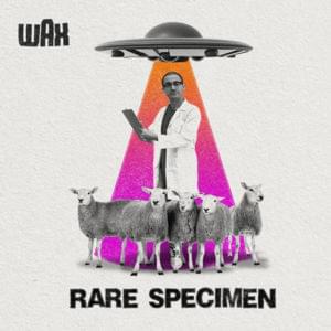 Rare Specimen - Wax